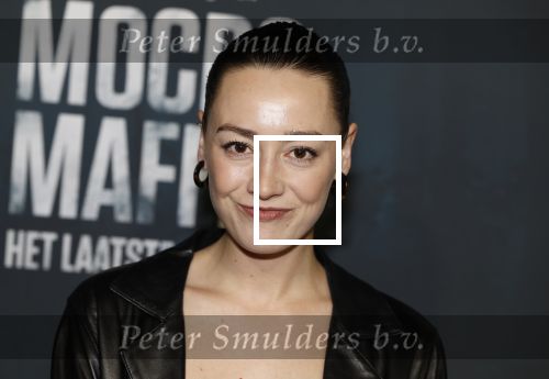 Amsterdam 5 november 2024
Premiere Videoland van  Mocro mafia in Tuschinski. Manouk Pluis
