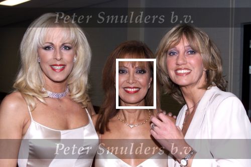Nijkerk 1 januari 2001

Nieuwjaarsreceptie staatsloterijshow.
de 3 Diva\'s Marga Bult, Sandra Reemer en Sjoukje Smit.


Peter Smulders bv
