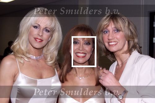 Nijkerk 1 januari 2001

Nieuwjaarsreceptie staatsloterijshow.
de 3 Diva\'s Marga Bult, Sandra Reemer en Sjoukje Smit.


Peter Smulders bv