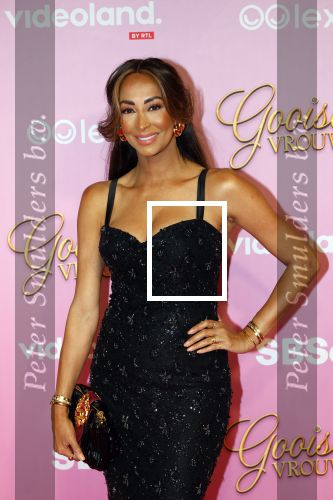 Amsterdam 22 oktober 2024
Premiere Gooische vrouwen in het DeLaMar theater. maria Tailor