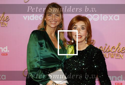 Amsterdam 22 oktober 2024
Premiere Gooische vrouwen in het DeLaMar theater. marijke Helwegen