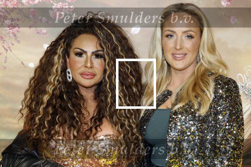 Amsterdam 3 december 2024
Premiere Wicked in Tuschinski. Michaela Kox met ...