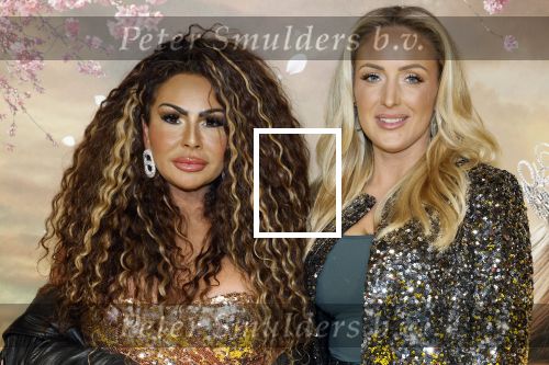 Amsterdam 3 december 2024
Premiere Wicked in Tuschinski. Michaela Kox met ...