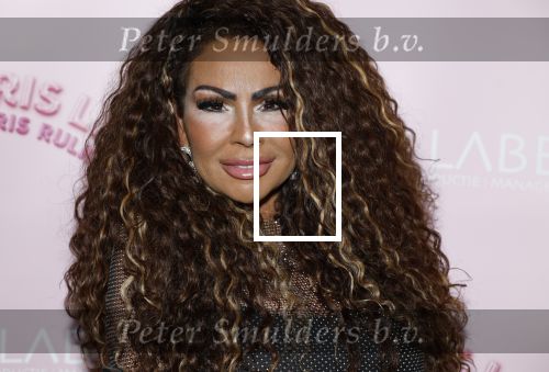 Amsterdam 6 november 2024
Premiere iris Rulkens in het deLaMar theater. Michella Kox