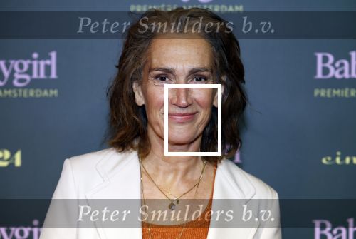 Amsterdam 25 november 2024
Premiere Babygirl in Tuschinski . Halina Reijn is de producente. Monic Hendrickx kwam met haar dochter