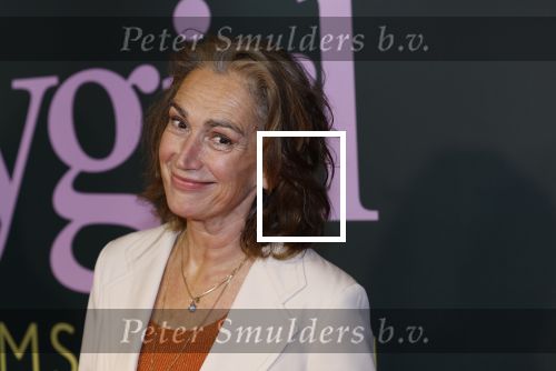 Amsterdam 25 november 2024
Premiere Babygirl in Tuschinski . Halina Reijn is de producente. Monic Hendrickx kwam met haar dochter