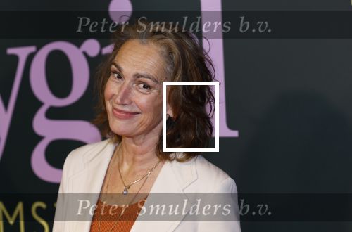 Amsterdam 25 november 2024
Premiere Babygirl in Tuschinski . Halina Reijn is de producente. Monic Hendrickx kwam met haar dochter