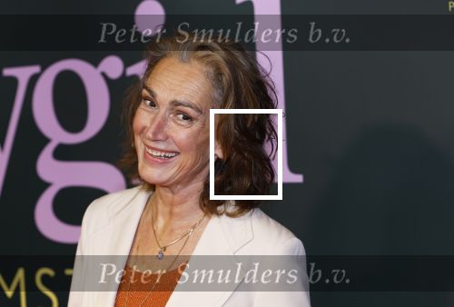 Amsterdam 25 november 2024
Premiere Babygirl in Tuschinski . Halina Reijn is de producente. Monic Hendrickx kwam met haar dochter