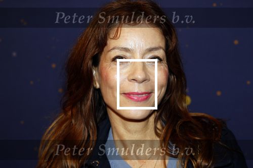 Amstelveen 23 oktober 2024
Premiere moeder monologen in schouwburg Amstelveen. Nadja Hupscher met man
