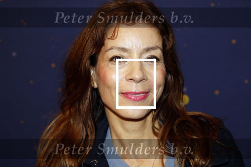 Amstelveen 23 oktober 2024
Premiere moeder monologen in schouwburg Amstelveen. Nadja Hupscher met man