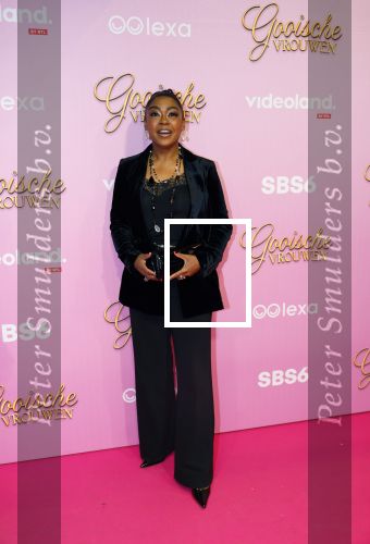 Amsterdam 22 oktober 2024
Premiere Gooische vrouwen in het DeLaMar theater. Natacha Harlequin en ...