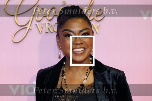 Amsterdam 22 oktober 2024
Premiere Gooische vrouwen in het DeLaMar theater. Natacha Harlequin en ...
