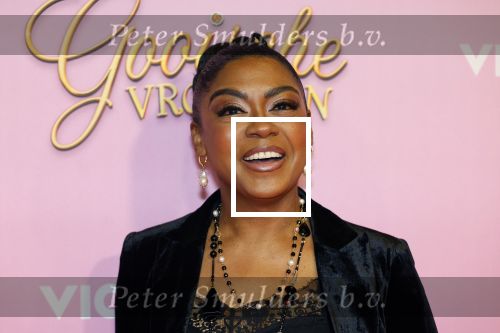 Amsterdam 22 oktober 2024
Premiere Gooische vrouwen in het DeLaMar theater. Natacha Harlequin en ...