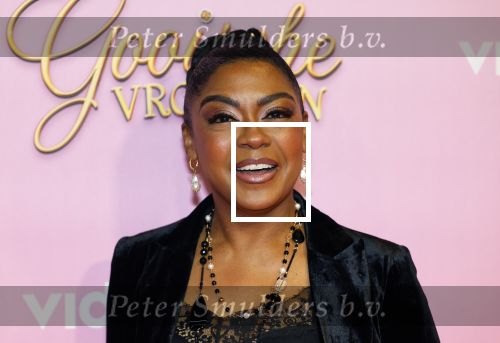 Amsterdam 22 oktober 2024
Premiere Gooische vrouwen in het DeLaMar theater. Natacha Harlequin en ...