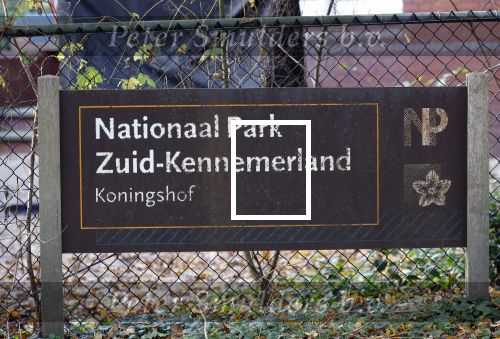 Haarlem e.o. 2 november 2024
Paul Witteman en (ex) partner Melinde Kassens wandelend in het bos winkelend  en bij het huis van Melinde Kassens in de buurt van het huis van Paul . Nationaal Park Zuid Kennemerland