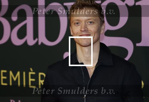 Amsterdam 25 november 2024
Premiere Babygirl in Tuschinski . Halina Reijn is de producente. Nicolaas Veul