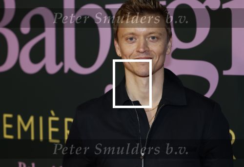 Amsterdam 25 november 2024
Premiere Babygirl in Tuschinski . Halina Reijn is de producente. Nicolaas Veul