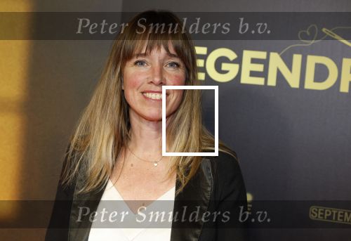 Amsterdam 4 november 2024
Premiere tegendraads in Tuschinski . Nienke Romer