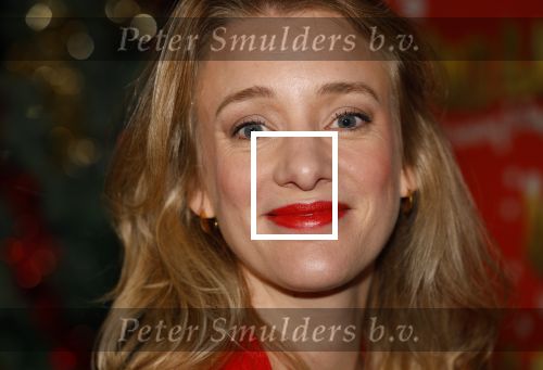 Amsterdam 5 november 2024
Presentatie cast Santa Claus is comeing to town in het ziggo dome . Aanwezige cast Willemijn Verkaik Dominique v Hulst (Zangeres Do) Noortje Herlaar Buddy Vedder en Frank Lammers als kerstman .