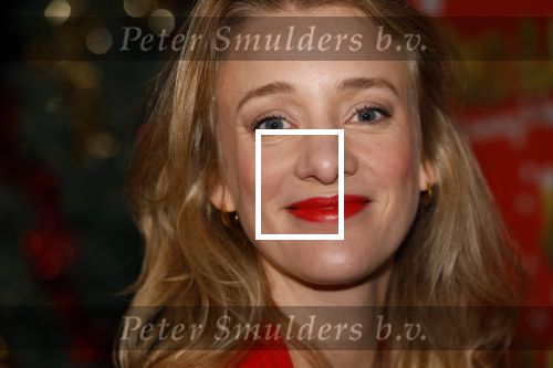 Amsterdam 5 november 2024
Presentatie cast Santa Claus is comeing to town in het ziggo dome . Aanwezige cast Willemijn Verkaik Dominique v Hulst (Zangeres Do) Noortje Herlaar Buddy Vedder en Frank Lammers als kerstman .