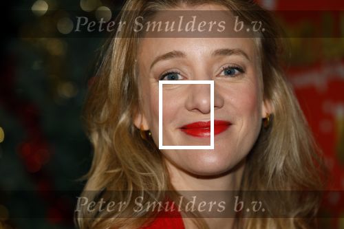 Amsterdam 5 november 2024
Presentatie cast Santa Claus is comeing to town in het ziggo dome . Aanwezige cast Willemijn Verkaik Dominique v Hulst (Zangeres Do) Noortje Herlaar Buddy Vedder en Frank Lammers als kerstman .