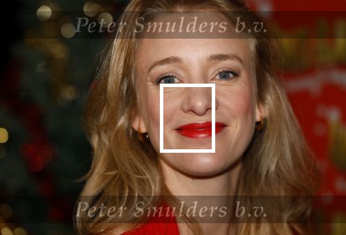 Amsterdam 5 november 2024
Presentatie cast Santa Claus is comeing to town in het ziggo dome . Aanwezige cast Willemijn Verkaik Dominique v Hulst (Zangeres Do) Noortje Herlaar Buddy Vedder en Frank Lammers als kerstman .