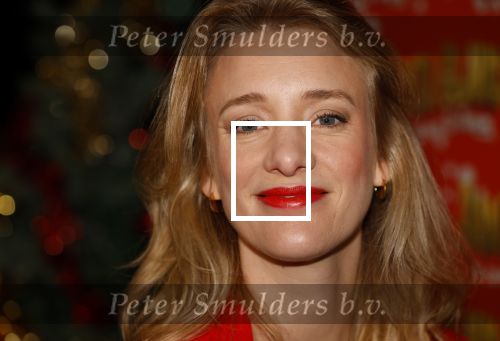 Amsterdam 5 november 2024
Presentatie cast Santa Claus is comeing to town in het ziggo dome . Aanwezige cast Willemijn Verkaik Dominique v Hulst (Zangeres Do) Noortje Herlaar Buddy Vedder en Frank Lammers als kerstman .