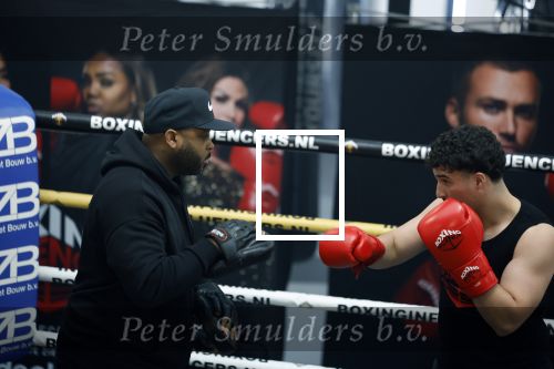 Hoofddorp 25 november 2024
Training Boxing influencers met oa Dave Roelvink Bravo Mark Schaaf  Geraldo Holzken Niek Holzken Roy  Meyer Goudtje Oussama Ahammoud Boer Ayoub en Sem v Dijk . Monica Geuze en Kaj Gorgels presenteren het .
