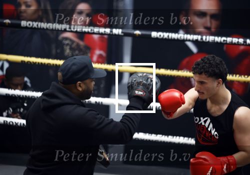 Hoofddorp 25 november 2024
Training Boxing influencers met oa Dave Roelvink Bravo Mark Schaaf  Geraldo Holzken Niek Holzken Roy  Meyer Goudtje Oussama Ahammoud Boer Ayoub en Sem v Dijk . Monica Geuze en Kaj Gorgels presenteren het .