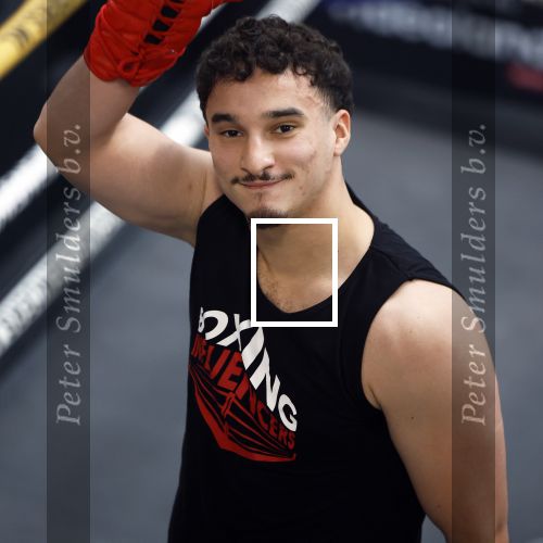 Hoofddorp 25 november 2024
Training Boxing influencers met oa Dave Roelvink Bravo Mark Schaaf  Geraldo Holzken Niek Holzken Roy  Meyer Goudtje Oussama Ahammoud Boer Ayoub en Sem v Dijk . Monica Geuze en Kaj Gorgels presenteren het .