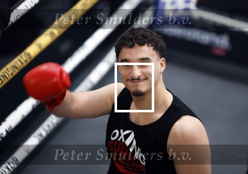 Hoofddorp 25 november 2024
Training Boxing influencers met oa Dave Roelvink Bravo Mark Schaaf  Geraldo Holzken Niek Holzken Roy  Meyer Goudtje Oussama Ahammoud Boer Ayoub en Sem v Dijk . Monica Geuze en Kaj Gorgels presenteren het .