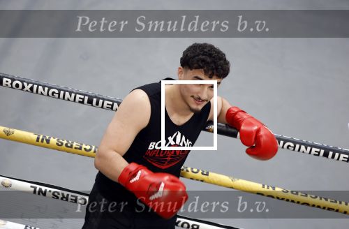 Hoofddorp 25 november 2024
Training Boxing influencers met oa Dave Roelvink Bravo Mark Schaaf  Geraldo Holzken Niek Holzken Roy  Meyer Goudtje Oussama Ahammoud Boer Ayoub en Sem v Dijk . Monica Geuze en Kaj Gorgels presenteren het .