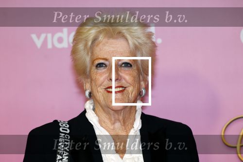 Amsterdam 22 oktober 2024
Premiere Gooische vrouwen in het DeLaMar theater. pamela Teves