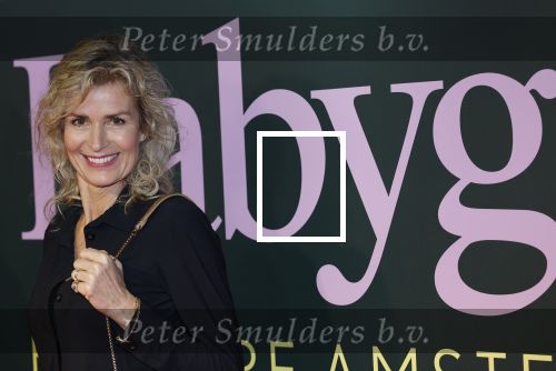 Amsterdam 25 november 2024
Premiere Babygirl in Tuschinski . Halina Reijn is de producente. Patricia Snel