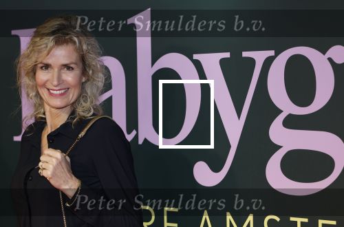 Amsterdam 25 november 2024
Premiere Babygirl in Tuschinski . Halina Reijn is de producente. Patricia Snel
