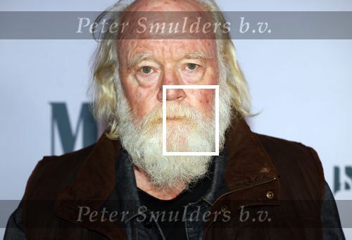 Amsterdam 24 oktober 2024
Rode loper verslag feestelijke opening
Imagine Fantastic Film Festival met de film Mr.K  van Tallulah Schwab met in de hoofdrol Crispin Glover. Phil Tippett