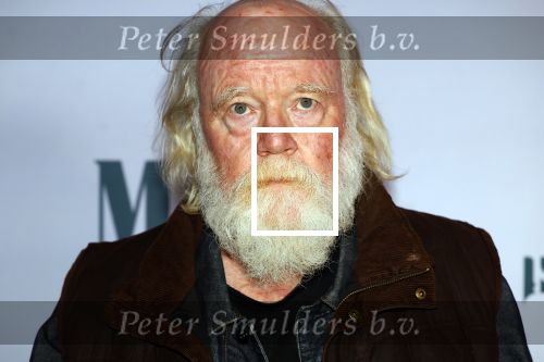 Amsterdam 24 oktober 2024
Rode loper verslag feestelijke opening
Imagine Fantastic Film Festival met de film Mr.K  van Tallulah Schwab met in de hoofdrol Crispin Glover. Phil Tippett