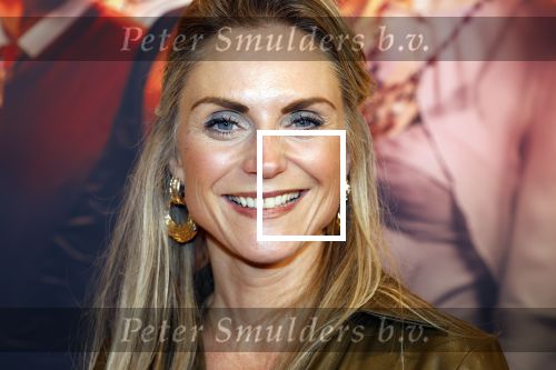 Zaandam 10 november 2024
Premiere murder on the nile in zaantheater.