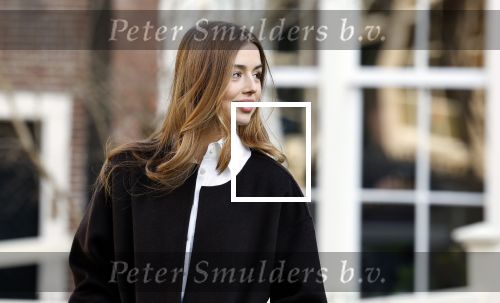 Amsterdam 29 november 2024
Fotouurtje Koninklijk huis met Koning Willem Alexander Koningin Maxima Prinses Amalia Prinses Alexia Prinses Ariane en hun hondje Mambo . De shoot vond plaats op het Begijnhof in het centrum van Amsterdam.