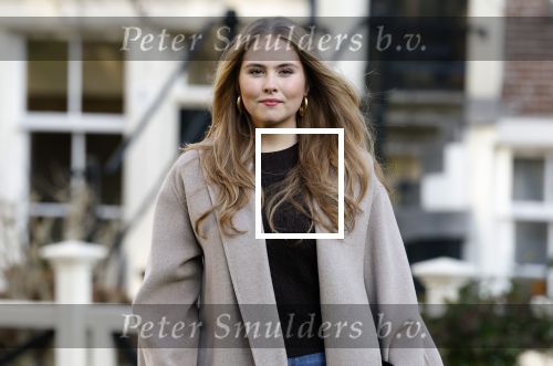 Amsterdam 29 november 2024
Fotouurtje Koninklijk huis met Koning Willem Alexander Koningin Maxima Prinses Amalia Prinses Alexia Prinses Ariane en hun hondje Mambo . De shoot vond plaats op het Begijnhof in het centrum van Amsterdam.