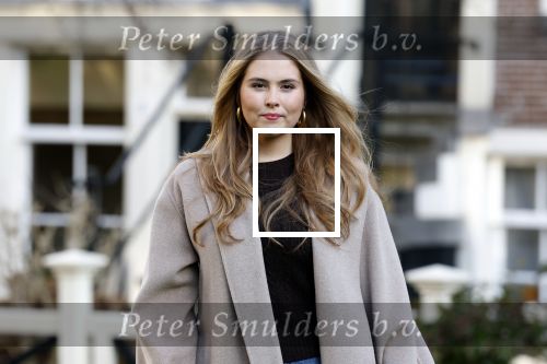 Amsterdam 29 november 2024
Fotouurtje Koninklijk huis met Koning Willem Alexander Koningin Maxima Prinses Amalia Prinses Alexia Prinses Ariane en hun hondje Mambo . De shoot vond plaats op het Begijnhof in het centrum van Amsterdam.