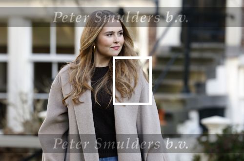 Amsterdam 29 november 2024
Fotouurtje Koninklijk huis met Koning Willem Alexander Koningin Maxima Prinses Amalia Prinses Alexia Prinses Ariane en hun hondje Mambo . De shoot vond plaats op het Begijnhof in het centrum van Amsterdam.