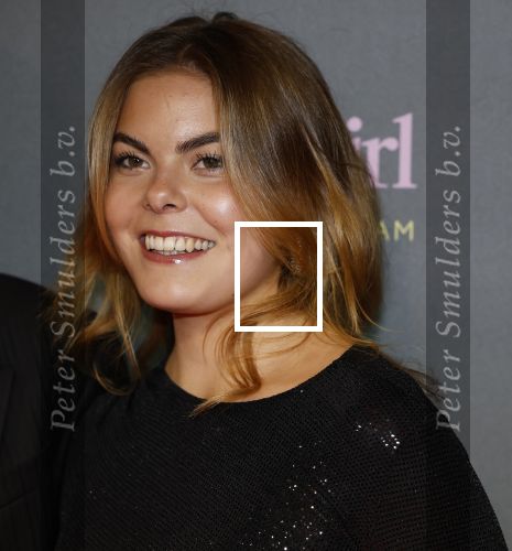Amsterdam 25 november 2024
Premiere Babygirl in Tuschinski . Halina Reijn is de producente. Prinses Eloise kwam met Robbert Rodenburg