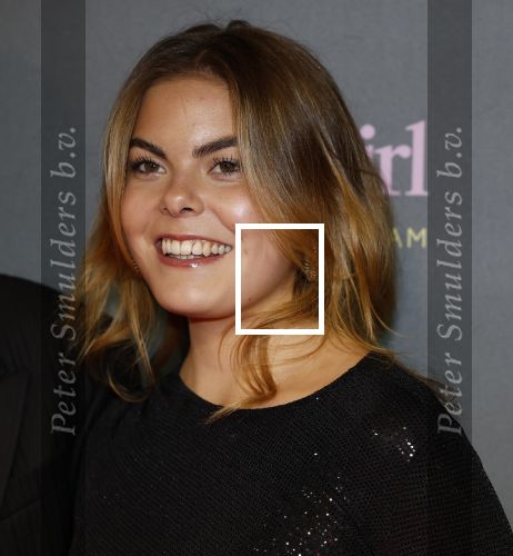 Amsterdam 25 november 2024
Premiere Babygirl in Tuschinski . Halina Reijn is de producente. Prinses Eloise kwam met Robbert Rodenburg