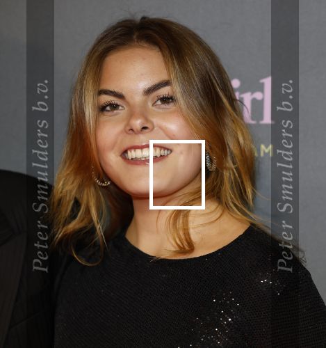 Amsterdam 25 november 2024
Premiere Babygirl in Tuschinski . Halina Reijn is de producente. Prinses Eloise kwam met Robbert Rodenburg