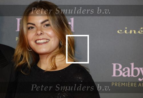 Amsterdam 25 november 2024
Premiere Babygirl in Tuschinski . Halina Reijn is de producente. Prinses Eloise kwam met Robbert Rodenburg