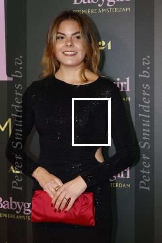 Amsterdam 25 november 2024
Premiere Babygirl in Tuschinski . Halina Reijn is de producente. Prinses Eloise kwam met Robbert Rodenburg