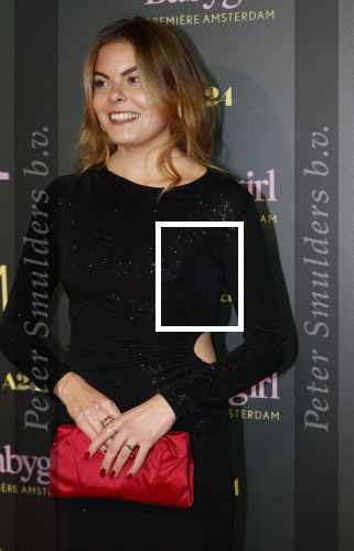 Amsterdam 25 november 2024
Premiere Babygirl in Tuschinski . Halina Reijn is de producente. Prinses Eloise kwam met Robbert Rodenburg