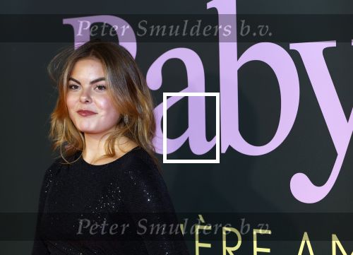 Amsterdam 25 november 2024
Premiere Babygirl in Tuschinski . Halina Reijn is de producente. Prinses Eloise kwam met Robbert Rodenburg