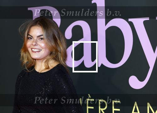 Amsterdam 25 november 2024
Premiere Babygirl in Tuschinski . Halina Reijn is de producente. Prinses Eloise kwam met Robbert Rodenburg